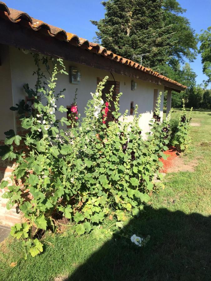 Location Gite 4 Personnes Mazeres - La Petite Maison Exteriér fotografie