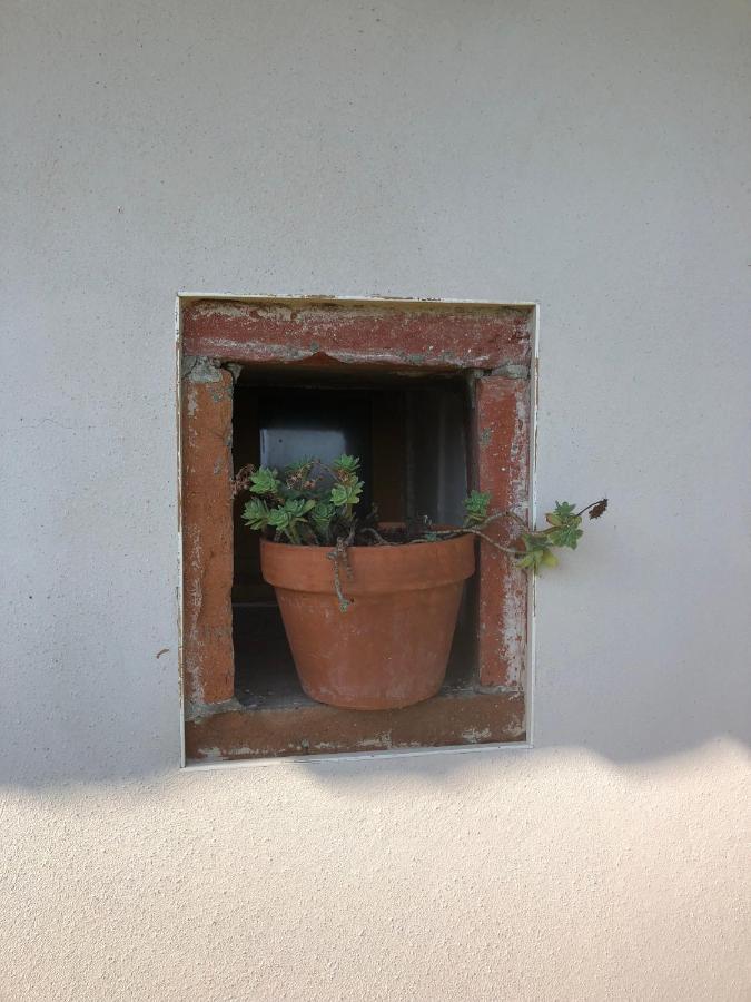Location Gite 4 Personnes Mazeres - La Petite Maison Exteriér fotografie