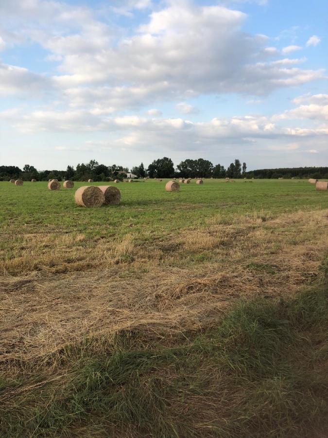 Location Gite 4 Personnes Mazeres - La Petite Maison Exteriér fotografie
