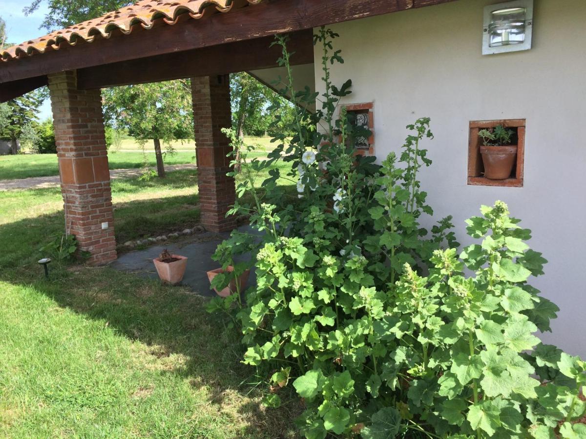 Location Gite 4 Personnes Mazeres - La Petite Maison Exteriér fotografie